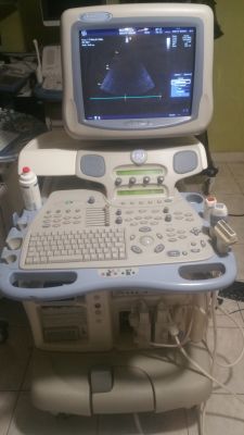 Vivid i ultrasound manual